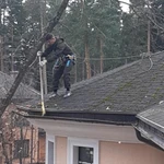 Фото №2 Удаление деревьев любой сложности