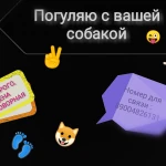 Гуляю с вашей собакой