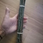 Фото №3 Веточки плодовых деревьев лесных.