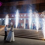 Фото №6 Ведущая на свадьбу, корпоратив в Москве