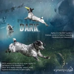 Фото №5 Презентации собак/кошек/лошадей/помета/вязки