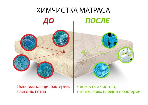 Фото Химчистка матрасов