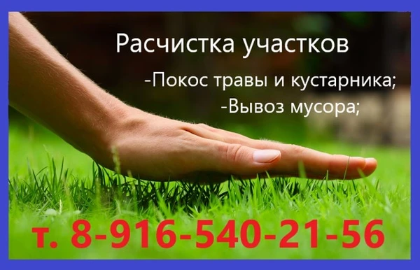 Фото Вывоз мусора и хлама