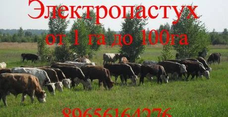 Фото Электро пастух от 1 га до 100 га