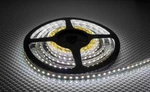 фото Лента светодиодная ELF 300SMD3528 белая 5 м