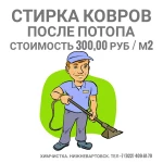 Фото №6 Стирка ковров