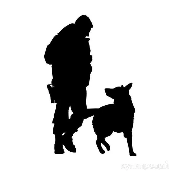 Фото Дрессировка собак