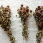 Фото №2 Букеты Чертополоха стандарт.