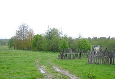 Фото Новорижское шоссе и Волоколамский район.