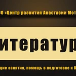 Репетитор по литературе