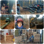 Фото №3 Дрова для бани дубовые