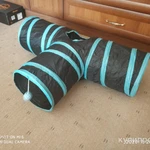 Фото №2 Гамак и тоннель для кота