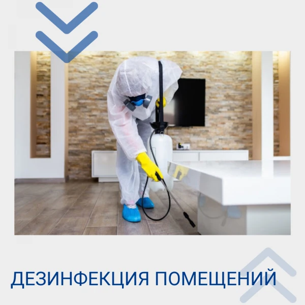 Фото Дезинфекция 