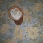 Фото №6 Настенные бра.