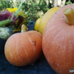 Фото №3 Фотограф для блога