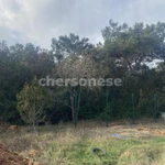 Фото №5 Лот  75003 Земельный участок 4,24 сот в красивом месте СНТ Наука, возле