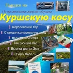 Поездки экскурсии на Куршскую косу ежедневно