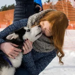 Фото №3 Выгул собак 