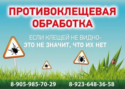 Фото Акарицидная (противоклещевая) обработка