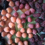 Фото №4 Саженцы плодовых растений