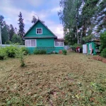 Фото №3 Прокосили траву и ХРЕН В ПОС.ВЫРИЦА. ДО и ПОСЛЕ.