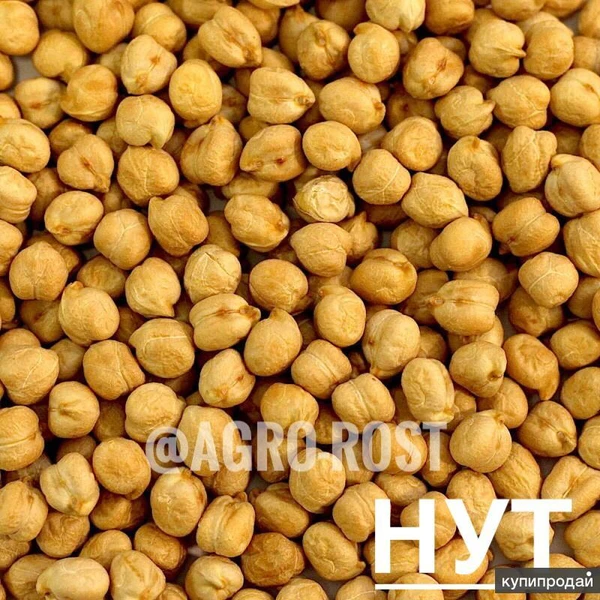 Фото НУТ