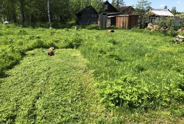 Фото Покос травы