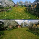 Фото №3 Покос травы