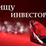 Ищу инвестора в прибыльный бизнес