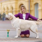 Фото №4 Хендлер нижний новгород