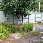 Фото №5 Продаю дом