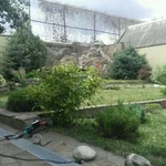 Фото №4 Садовник