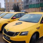 Аренда авто под такси Skoda Octavia