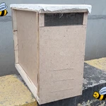 фото Пчелопакеты (среднерусская порода пчел) в Санкт-Петербурге 2026 г.