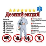 Дезинсекция