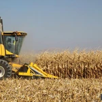 Фото №6 Жатка для уборки кукурузы HARMAK MT8 - FJB GROUP LLC