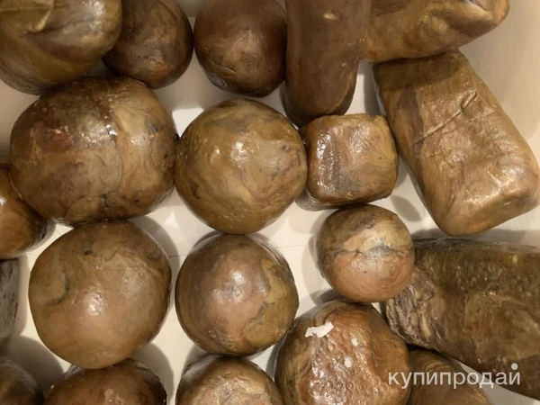 Фото Прополис