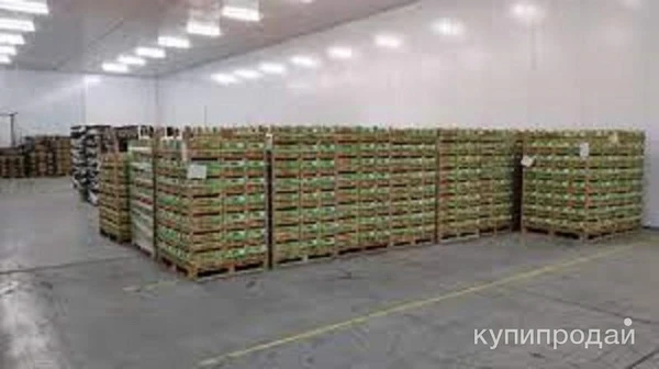 Фото Продаётся складской комплекс--хладокомбинат.