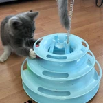 Фото №8 Котенок девочка в добрые руки