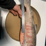 Фото №5 Морепродукты Опт/Роз