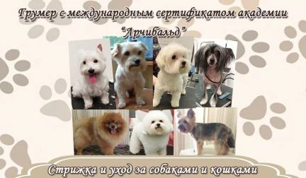 Фото Услуги ухода за питомцами