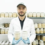 Фото №8 Ежовик Гребенчатый оптом или СТМ