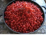 Фото №2 Шиповник калина(сок калины) с бесплатной доставкой