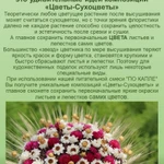 Фото №4 ФЛОРИСТАМ И ЛЮБИТЕЛЯМ ЦВЕТОВ - ПРЕПАРАТ "ПО КАПЛЕ"