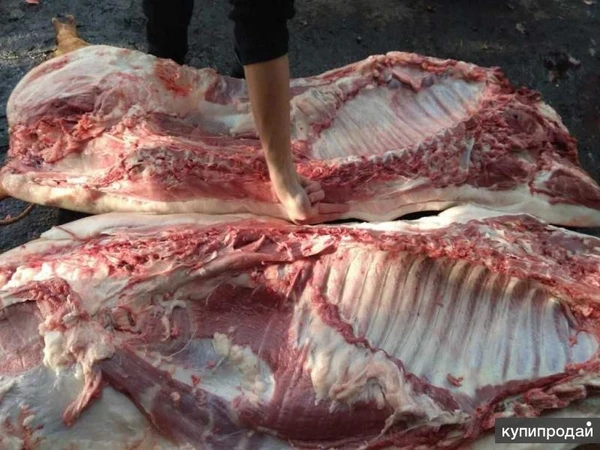 Фото Свежее мясо свинина