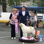 Фото №3 Профессиональна ринговая подготовка
