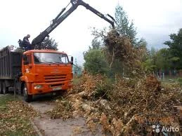Фото Спил дерева любой сложности расчистка участка