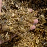 фото Продаем силос кукурузный,сенаж