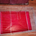 фото Клетки для грызунов 2 штуки можно отдельно