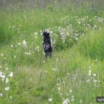 фото Передержка